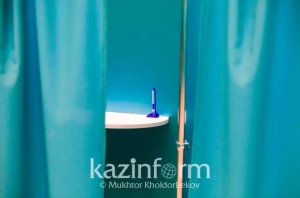 Ресейдегі қазақстандықтар Мәжіліс сайлауында қалай дауыс береді