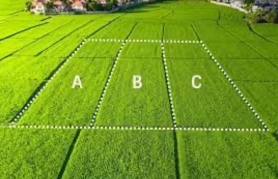 Департамент кәсіпкердің бұзылған құқықтарын қалпына келтірді