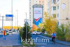Более 73% респондентов готовы пойти на досрочные президентские выборы – соцопрос